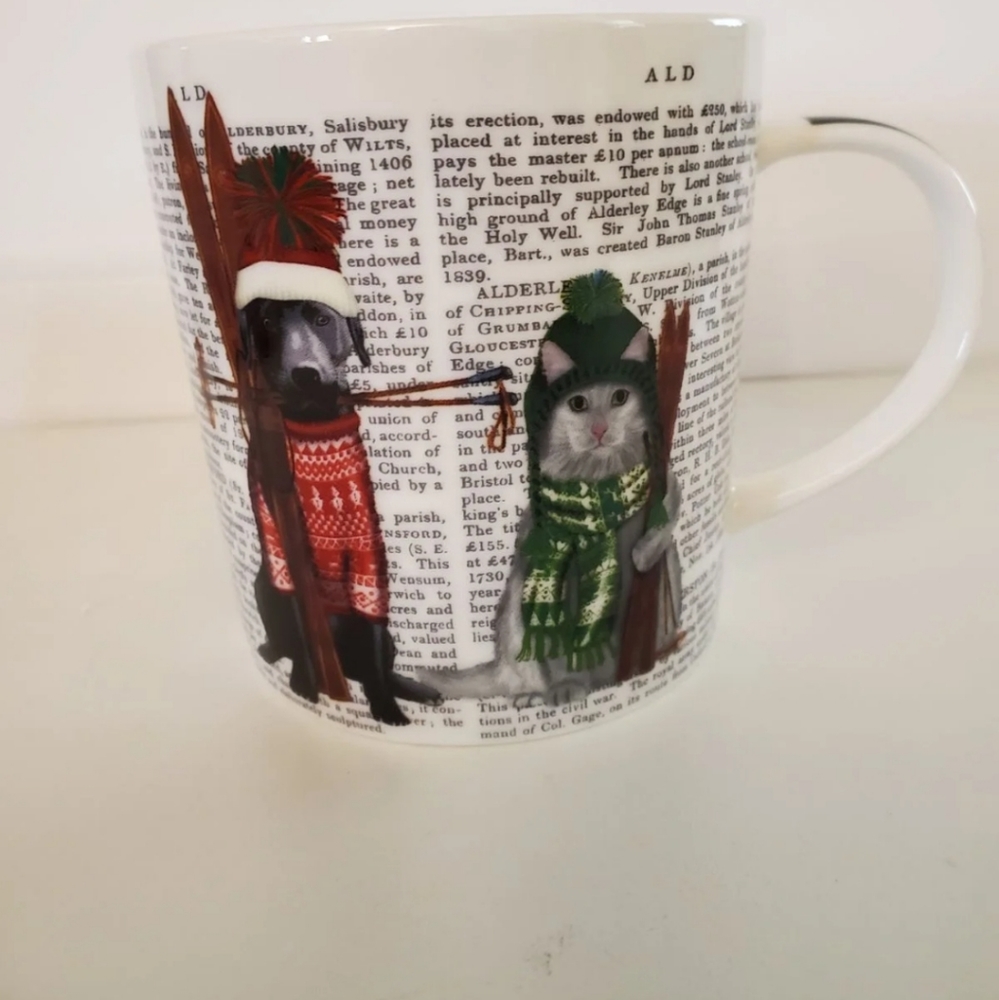 Fab Funky "Dog & Cat" Mug 14 oz